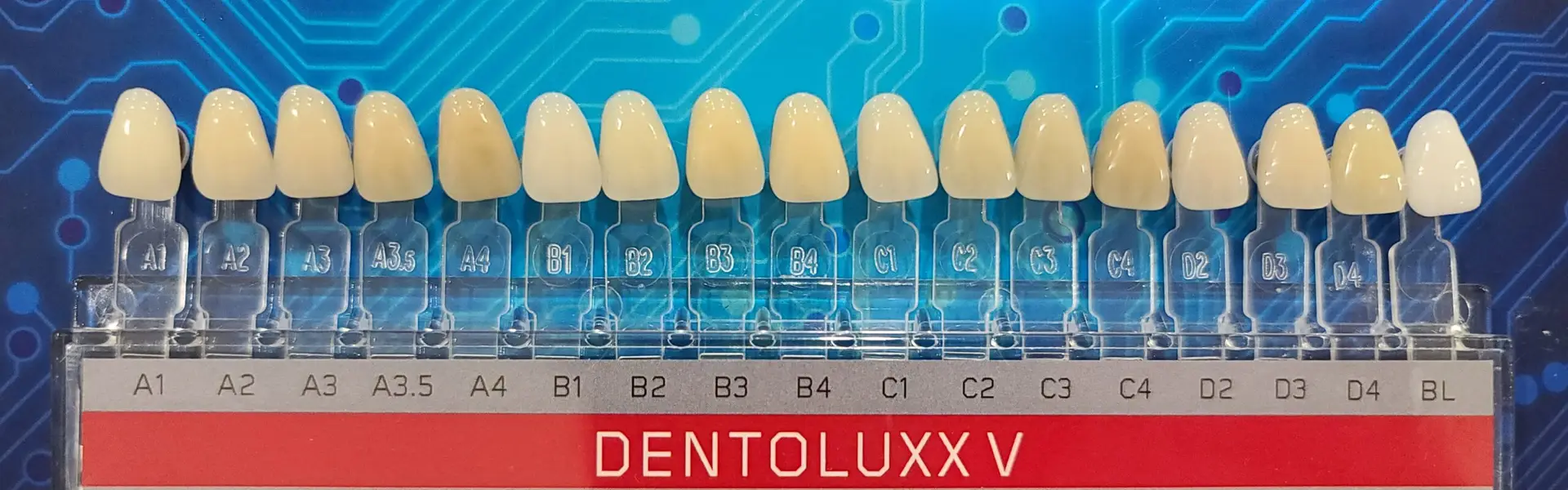 dentoluxx v pic chade guide